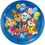 Paw Patrol® Pawsitive Vibes Papperstallrikar