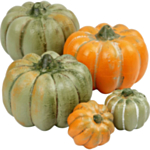 Pumpa Dekoration Grön/Orange