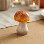Mini Terrakottasvamp Orange