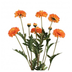 Konstgjord Sammetsblomma Bukett Orange