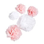 Pom Poms Takdekoration Ljusrosa/Vit