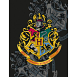 Harry Potter® Hogwarts Fleecefilt Svart