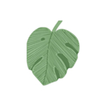 Monstera Servetter Grön
