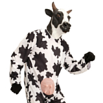 Ko Helmask