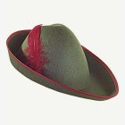 Robin Hood-hatt, fjädrar