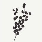 Konstgjord Physalis Gren Svart