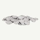 Silvermynt