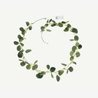 Eukalyptus LED Girlan