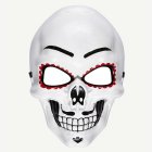 Day Of the Dead Mask
