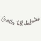 Grattis Till Studenten Girlang