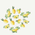 Citron Bordskonfetti Gul/Grön