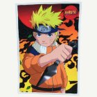 Naruto® Filt