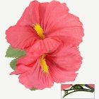 Hibiskus Hårklämma Ljusrosa