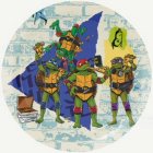 Teenage Mutant Ninja Turtles® Papperstallrikar Ø 23 cm
