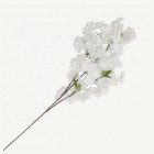 Konstgjord Körsbärsblomma Stjälk Vit