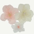 Crepe Pappersblommor Pastell