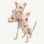 Cerberus Skelett