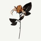 Spindel Blomma