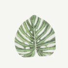 Monstera Servetter Grön/Vit