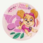 Paw Patrol® Skye Papperstallrikar