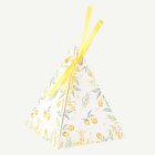 Citron Pyramid Presentask