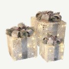 LED Julklappar Vit