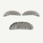 Gammal man ögonbryn & mustasch grå