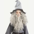 Sagan om Ringen® Gandalf Peruk & Skägg Barn