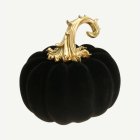 Pumpa Velour Svart/Guld