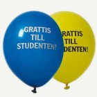 Grattis Till Studenten! Latexballonger Gul/Blå