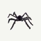 Gigantisk Spindel