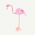 Flamingo Dekoration Ljusrosa