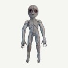 Area 51 Alien Grå