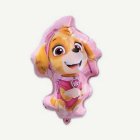 Paw Patrol® Skye Supersize Folieballong