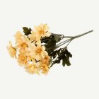 Tandört Blomma Gul