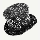 Paljett Hög Hatt Svart/Silver