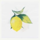 Citronservetter Gul/Grön