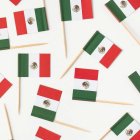 Mexiko Flagga Matpinne
