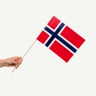 Norge Flagga På Pinne