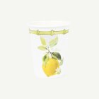 Citron Pappersmuggar