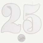 25 År Takdekoration Silver