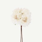Konstgjorda Blommor Knippe Cremevitt