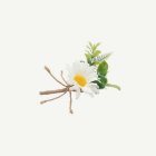 Tusenskönor Blomsterdekoration
