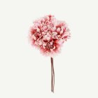 Konstgjorda Blommor Knippe Rosa