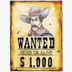 Western Wanted Affisch