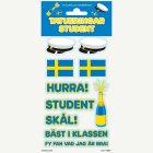 Svensk Student Falska Tatueringar