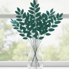Tropiska Blad Kvistar