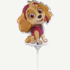 Paw Patrol® Skye Mini Folieballonger