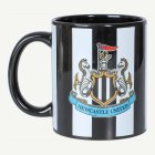 Newcastle® Mugg