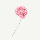 Konstgjord Kamelia På Stjälk Rosa